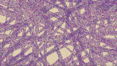 hypercube